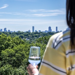 a person holding a glass overlooking trees with a city in the distance