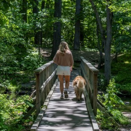 a person walking with a dog over a bridge